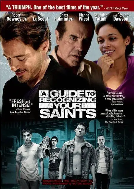 A Guide to Recognizing Your Saints(2006)