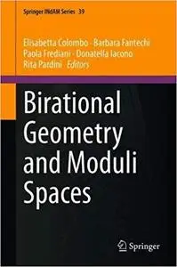 Birational Geometry and Moduli Spaces