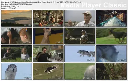 PBS Nature - Dogs That Changed The World