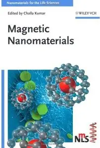 Magnetic Nanomaterials [Repost]