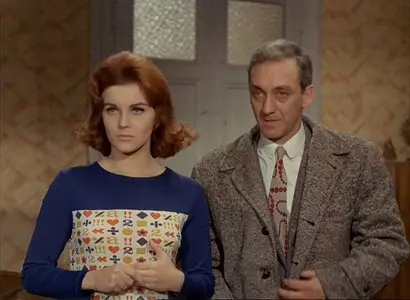 The Tiger and the Pussycat/Il Tigre (1967)