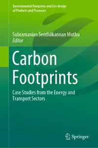 Carbon Footprints: Case Studies from the Energy and Transport Sectors (Repost)