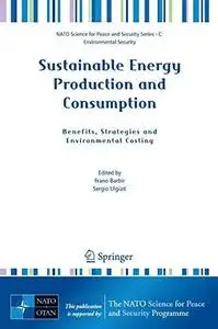 Sustainable energy production and consumption: benefits, strategies and environmental costing