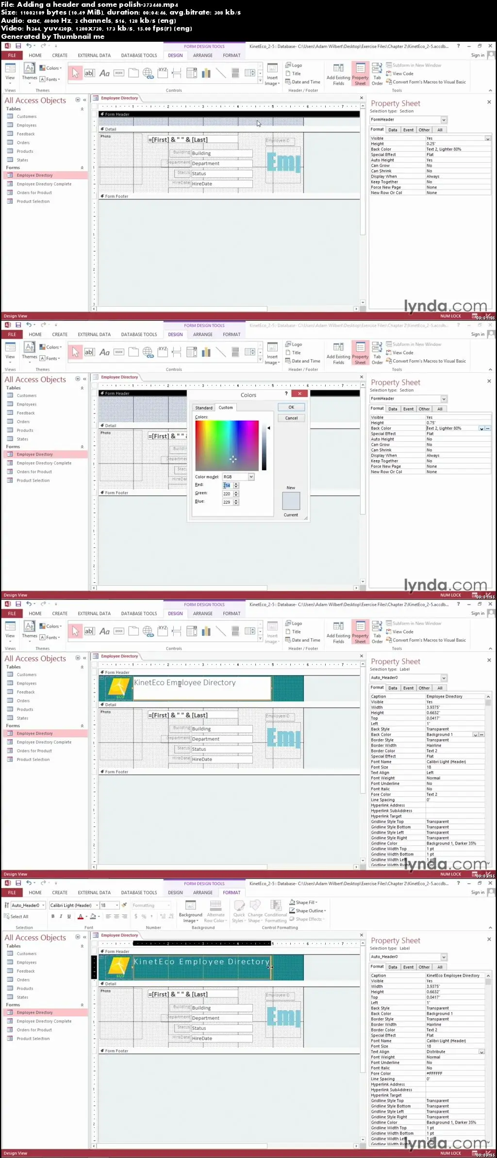 Lynda - Access 2013: Forms and Reports in Depth (repost)