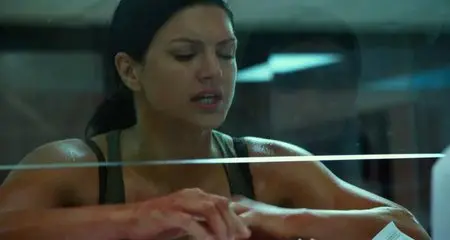 In the Blood (2014)