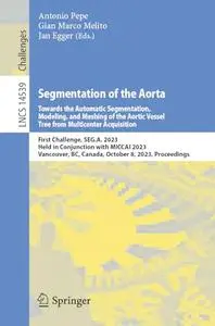 Segmentation of the Aorta. Towards the Automatic Segmentation, Modeling, and Meshing
