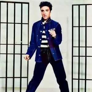 Elvis Presley - Jailhouse Rock (2020) [Official Digital Download 24/96]