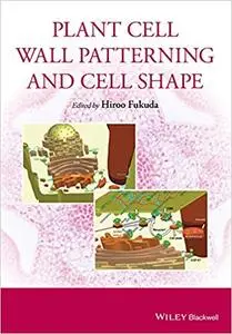 Plant Cell Wall Patterning and Cell Shape  (repost)