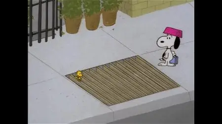 Snoopy, Come Home (1972)