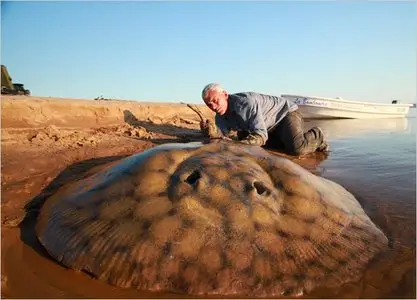 Animal Planet - River Monsters S03E03 Silent Assassin (2011)