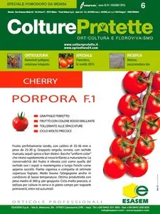 Colture Protette - Giugno 2015