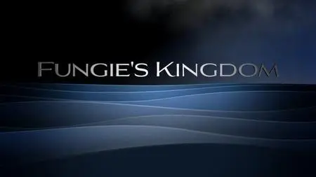 RTE - Fungie's Kingdom (2020)
