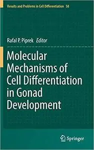 Molecular Mechanisms of Cell Differentiation in Gonad Development [Repost]