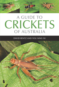 A Guide to Crickets of Australia