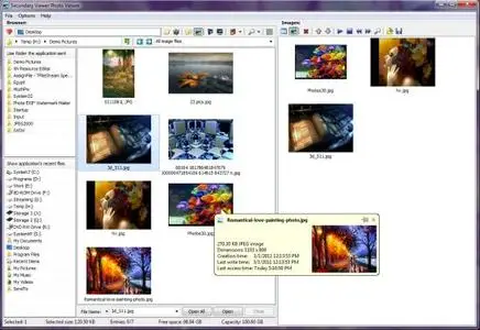 3delite Secondary Display Photo Viewer 1.0.48.228