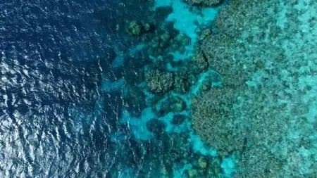 ABC - Great Barrier Reef: The Next Generation (2021)