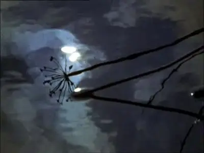 Peter Greenaway - Short movie Collection (1969 - 1978)