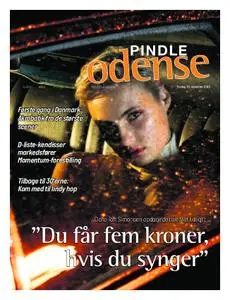 Pindle Odense – 19. november 2019