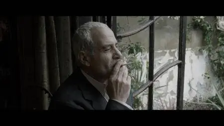 Final Portrait (2017)