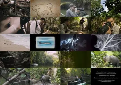 Curiosity Stream - Last Stand of the Javan Rhino (2021)