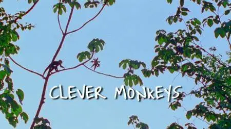 BBC - Natural World: Clever Monkeys (2008)