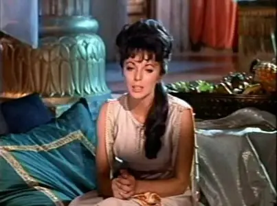 Esther and the King (1960)