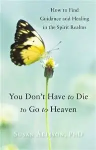 «You Don't Have to Die to Go to Heaven» by Susan Allison