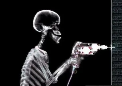 Life Through X-Rays