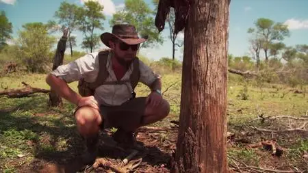 Extinct or Alive S02E03