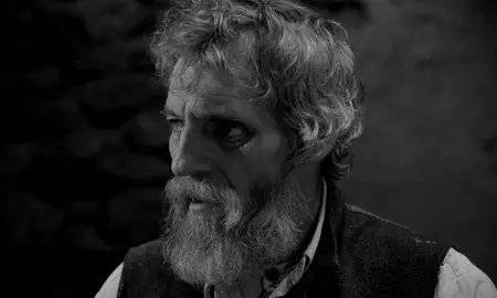 A Torinói ló / The Turin Horse (2011) [Repost]