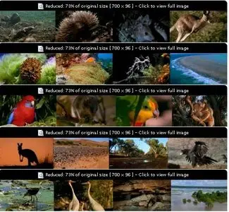 ABC - Nature of Australia: Part 1: A Separate Creation