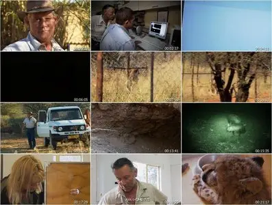 Cheetah Kingdom - S01E04