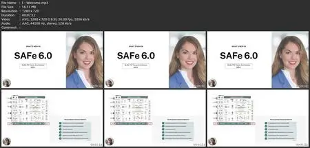 Introduction Safe 6.0| What'S New In Safe 6.0