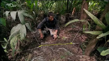 Bear Grylls Escape From Hell S01E01 (2013)