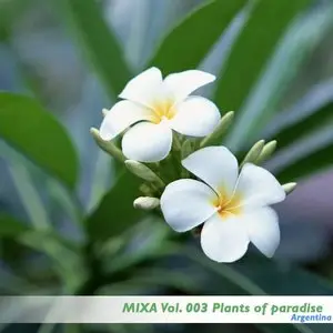 Mixa Vol. 003 Plants of paradise