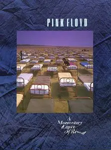 Pink Foyd - A Momentary Lapse Of Reason (guitar tab edition)