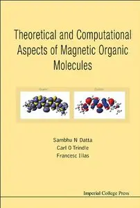 Theoretical and Computational Aspects of Magnetic Organic Molecules