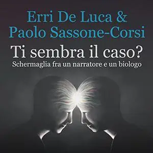 «Ti sembra il caso» by Erri De Luca, Paolo Sassone-Corsi