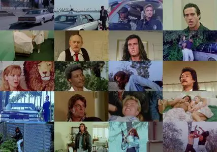 Samurai Cop (1991)