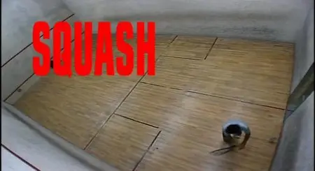 (court mètrage) Squash [DVDrip] 