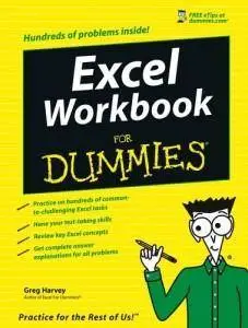 Excel Workbook For Dummies (Repost)