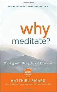 Why Meditate: Working with Thoughts and Emotions