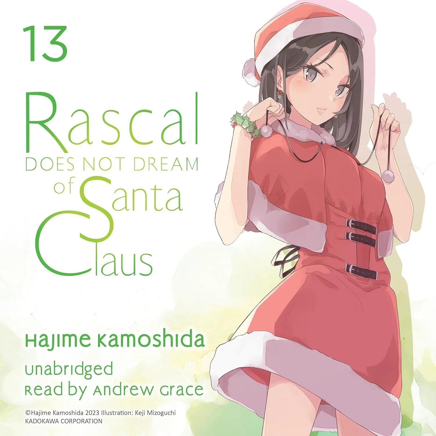 Rascal Does Not Dream of Santa Claus (Light Novel)