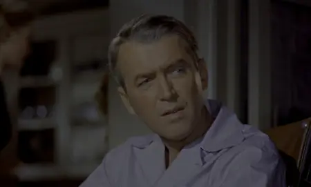 Rear Window (1954)