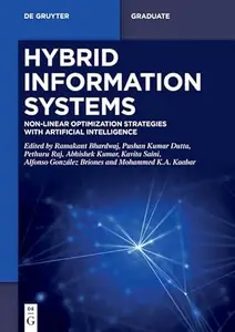 Hybrid Information Systems: Non-Linear Optimization strategie with Artificial Intelligence (De Gruyter Textbook)