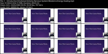 Emotional Alchemy: Nervous System Wisdom & Energy Healing