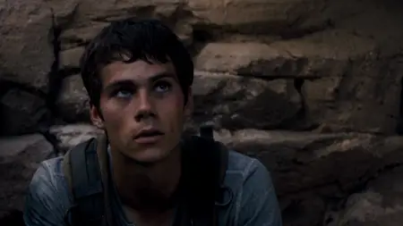 The Maze Runner (2014) [Open Matte]
