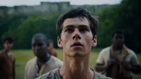 The Maze Runner (2014) [Open Matte]
