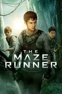 The Maze Runner (2014) [Open Matte]