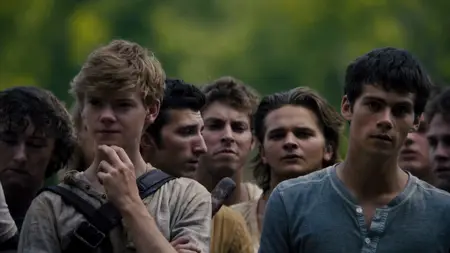 The Maze Runner (2014) [Open Matte]